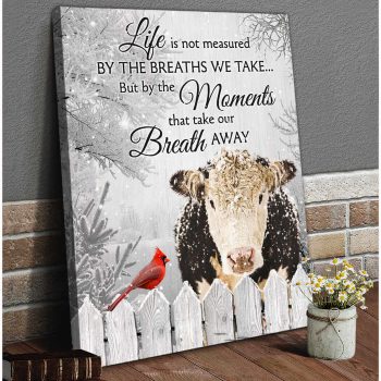 Hereford Cow And Cardinal Canvas The Moments That Take Our Breath Away Wall Art Decor