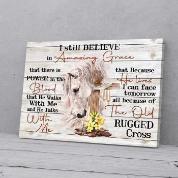 I Still Believe In Amazing Grace Horse Canvas Poster Prints Wall Art Decor