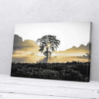 Tree Sunlight Attractive Natural Canvas Poster Prints Wall Art Decor