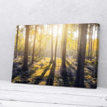 Yellow Forest Natural Canvas Poster Prints Wall Art Decor