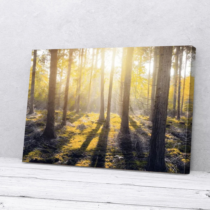 Yellow-Forest-Natural-Canvas-Poster-Prints-Wall-Art-Decor Yellow Forest Natural Canvas Poster Prints Wall Art Decor