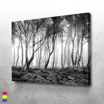 The Trees of Earth a Stunning Visual Journey Through Nature's Beauty Canvas Poster Print Wall Art Decor