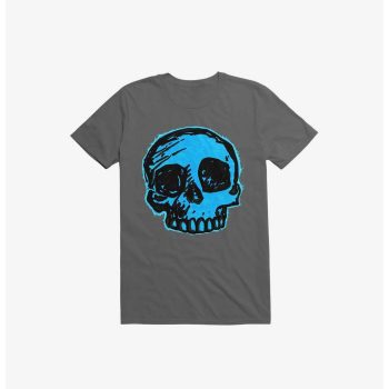 Blue Skull Asphalt Grey Kid Tee - Unisex T-Shirt HTS1242