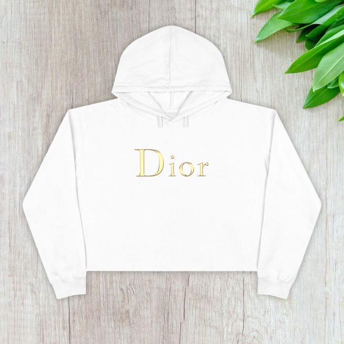 Dior Logo Luxury Crop Pullover Hoodie For Lady CPH1181