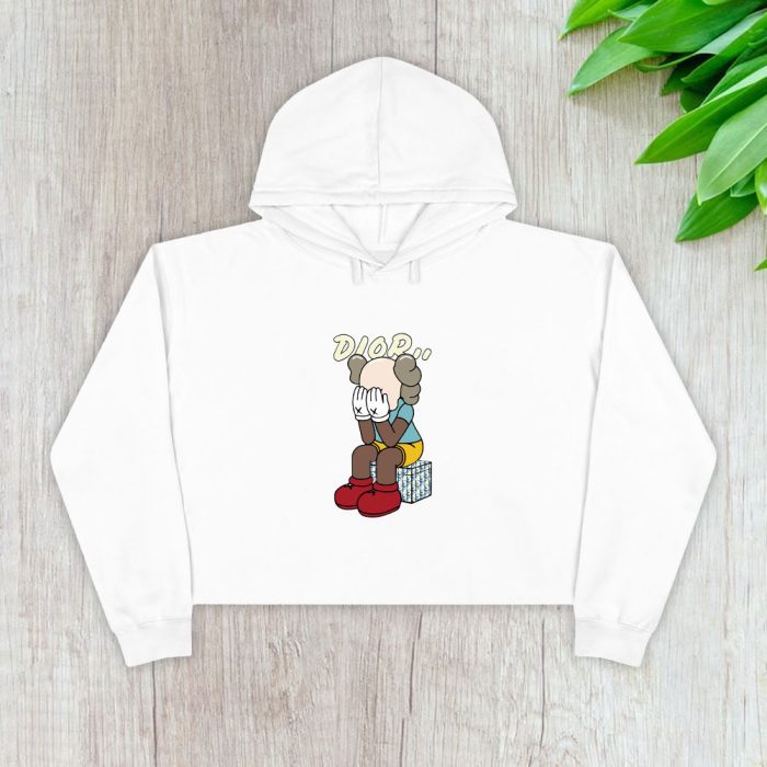 Dior Logo Luxury Kaws Crop Pullover Hoodie For Lady CPH1202