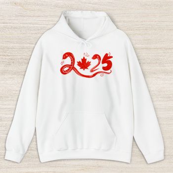 Year Of The Snake Happy Chinese New Year Dsquared2 Unisex Hoodie TAH22243