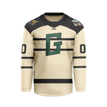 ECHL Utah Grizzlies Personalized Third V-shaped Hockey Jersey